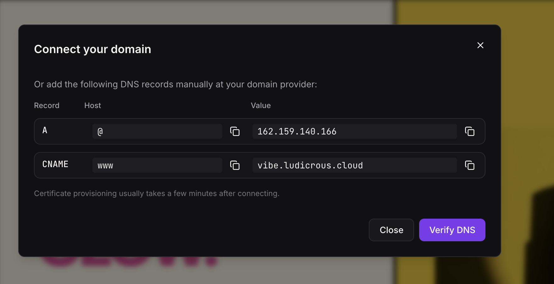 Custom domain DNS configuration